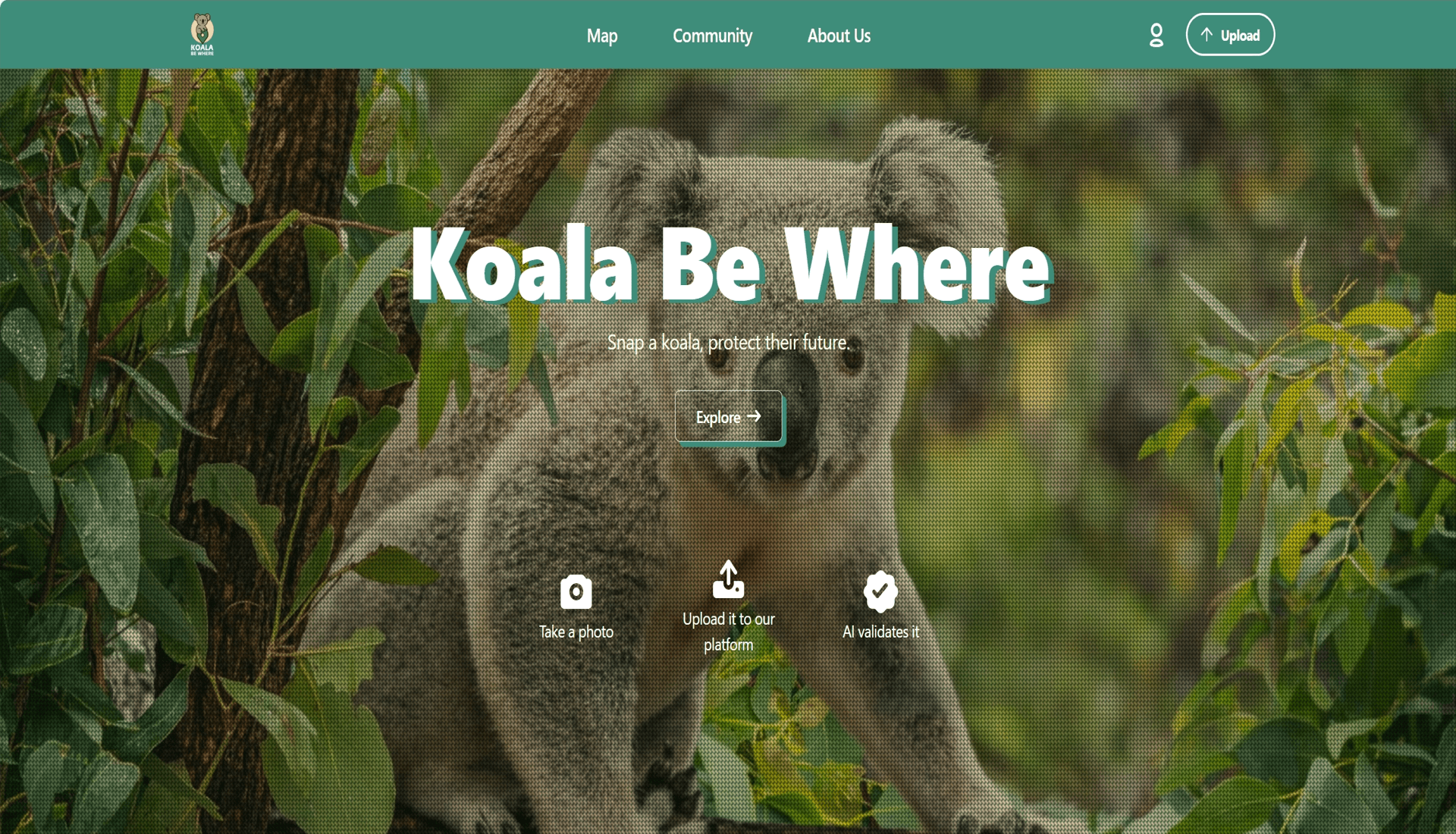 Koala Be Where