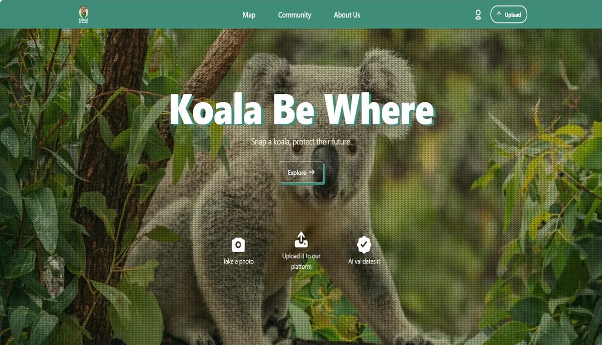Koala Be Where